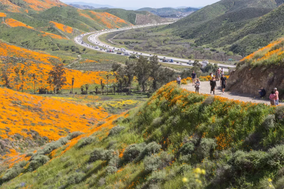 California Spring